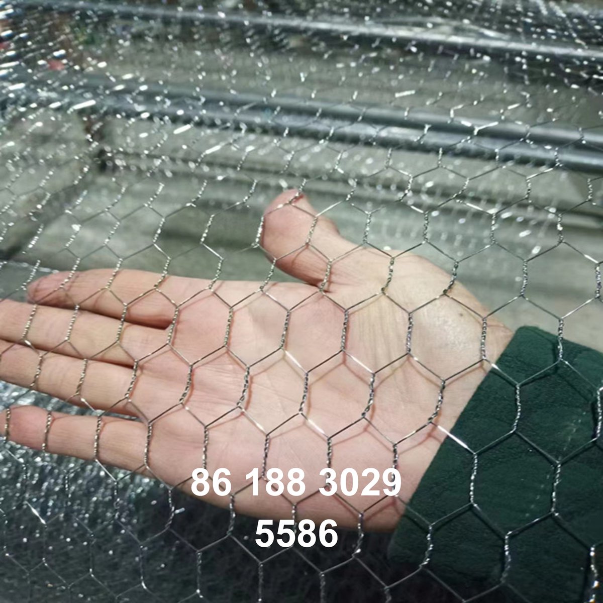 Amy12433520's tweet image. Wish the world peace and no war📷
#HexagonalWireNetting#TwistedWireNetting#HexagonalWireNetting#ChickenWireFencing#PoultryWireMeshFence#PoultryNetting