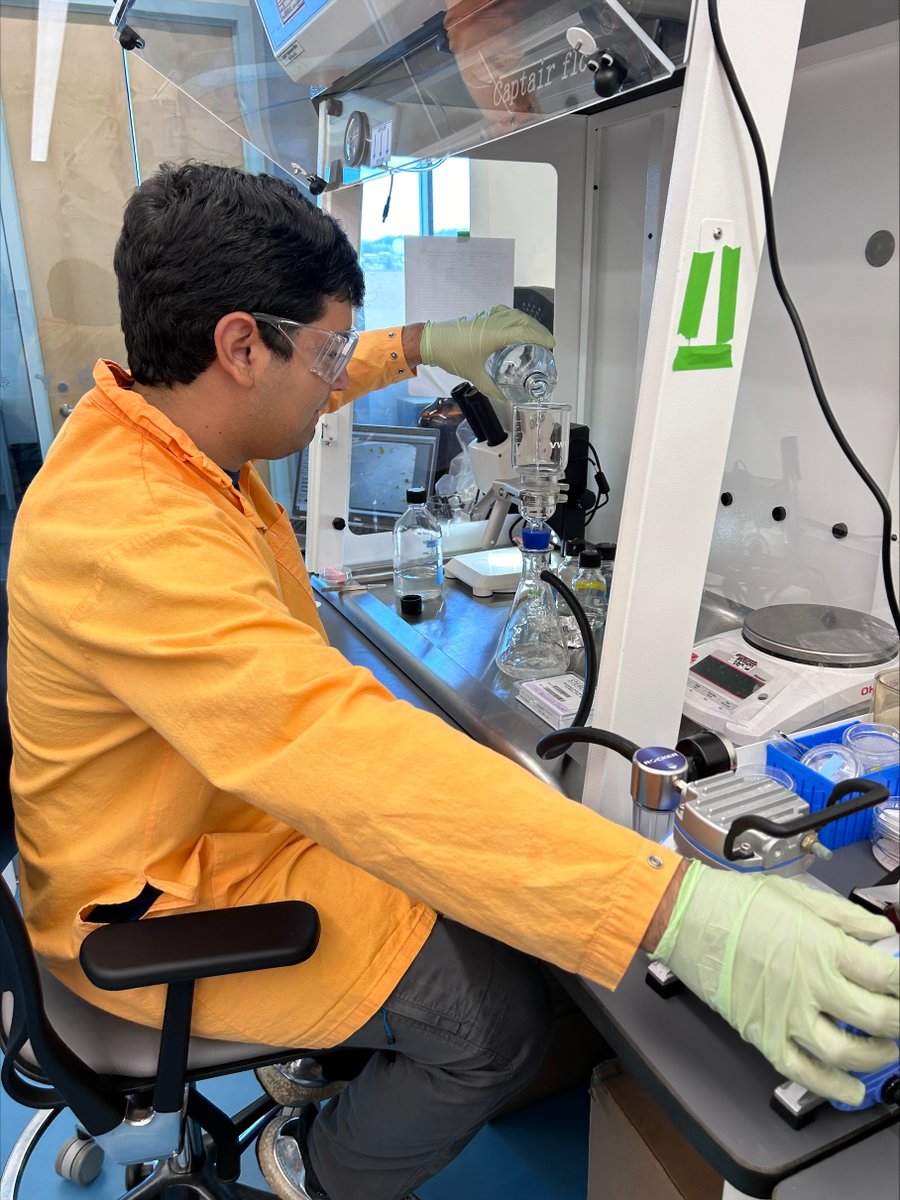 pnwmicroplastics (@pnwmicroplastic) on Twitter photo For #plasticfreejuly we're sharing the great work our group does on #plastics #microfibers & #pesticides too!
#SamArriola is an undergrad researcher bravely conquering #biosolid samples! Here he's vacuum filtering MPs after density separation. He starts <a href="/PharmToxUCD/">PharmToxUCD</a> this fall! For #plasticfreejuly we're sharing the great work our group does on #plastics #microfibers & #pesticides too!
#SamArriola is an undergrad researcher bravely conquering #biosolid samples! Here he's vacuum filtering MPs after density separation. He starts <a href="/PharmToxUCD/">PharmToxUCD</a> this fall!