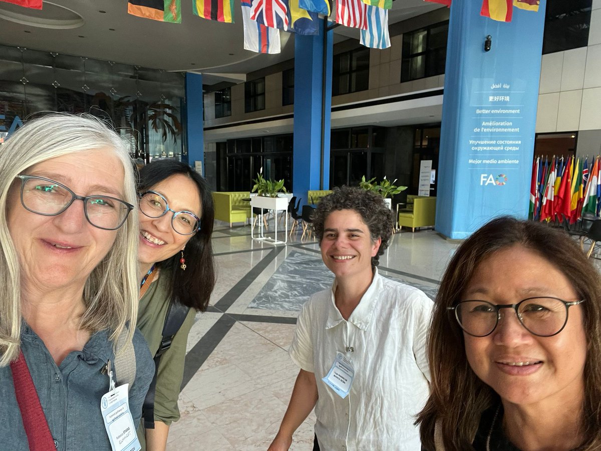 Clara Mi Young Park tweet media