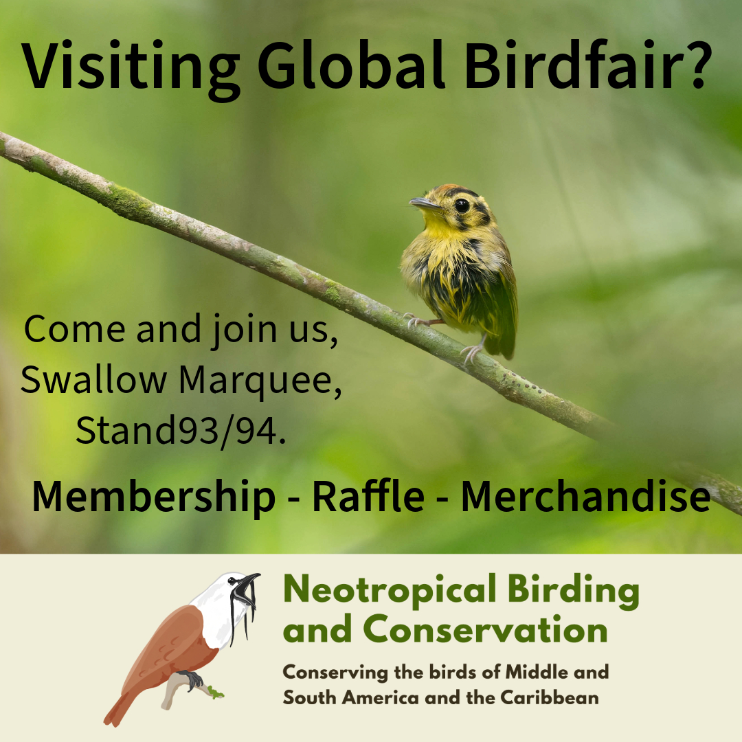 Neotropical Birding and Conservation (@neobirdcons) on Twitter photo 