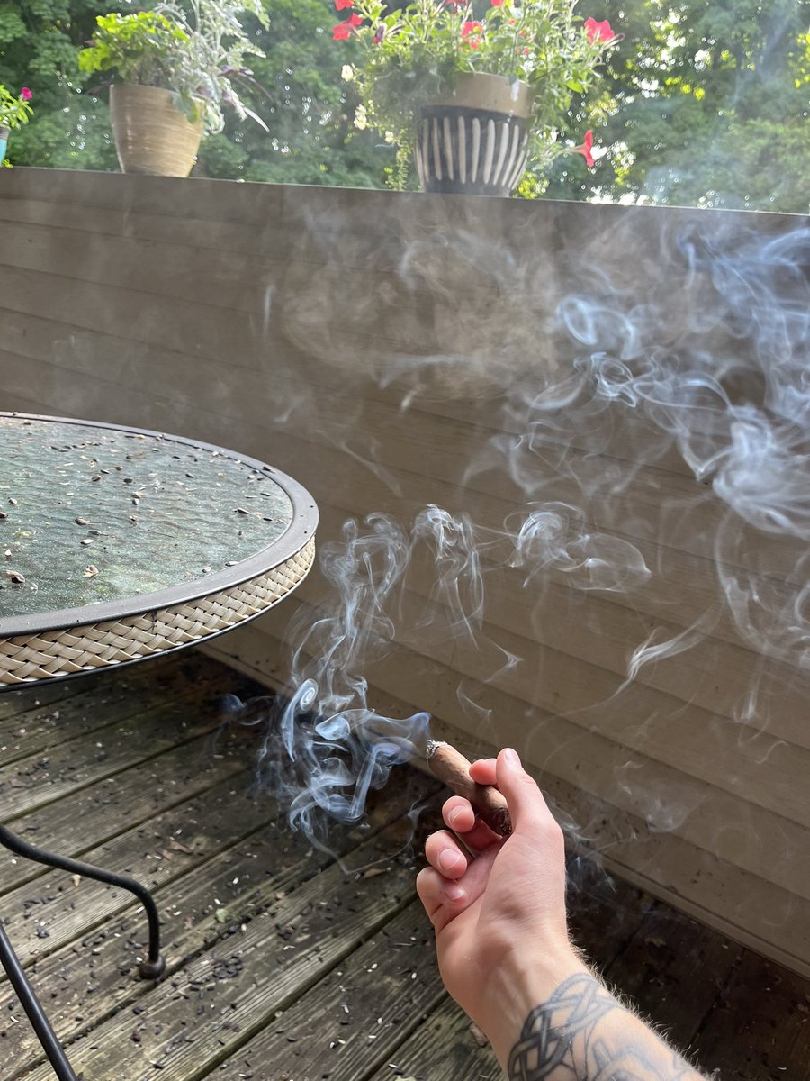 TheeRake's tweet photo. So these new fuckers above us have a bird feeder and there’s like thousands of seeds all over our whole deck, chairs tables and all. Hope they like cigar smoke cause that’s what they’ll be getting on the regular now. Fuck you https://t.co/DztgunksV1