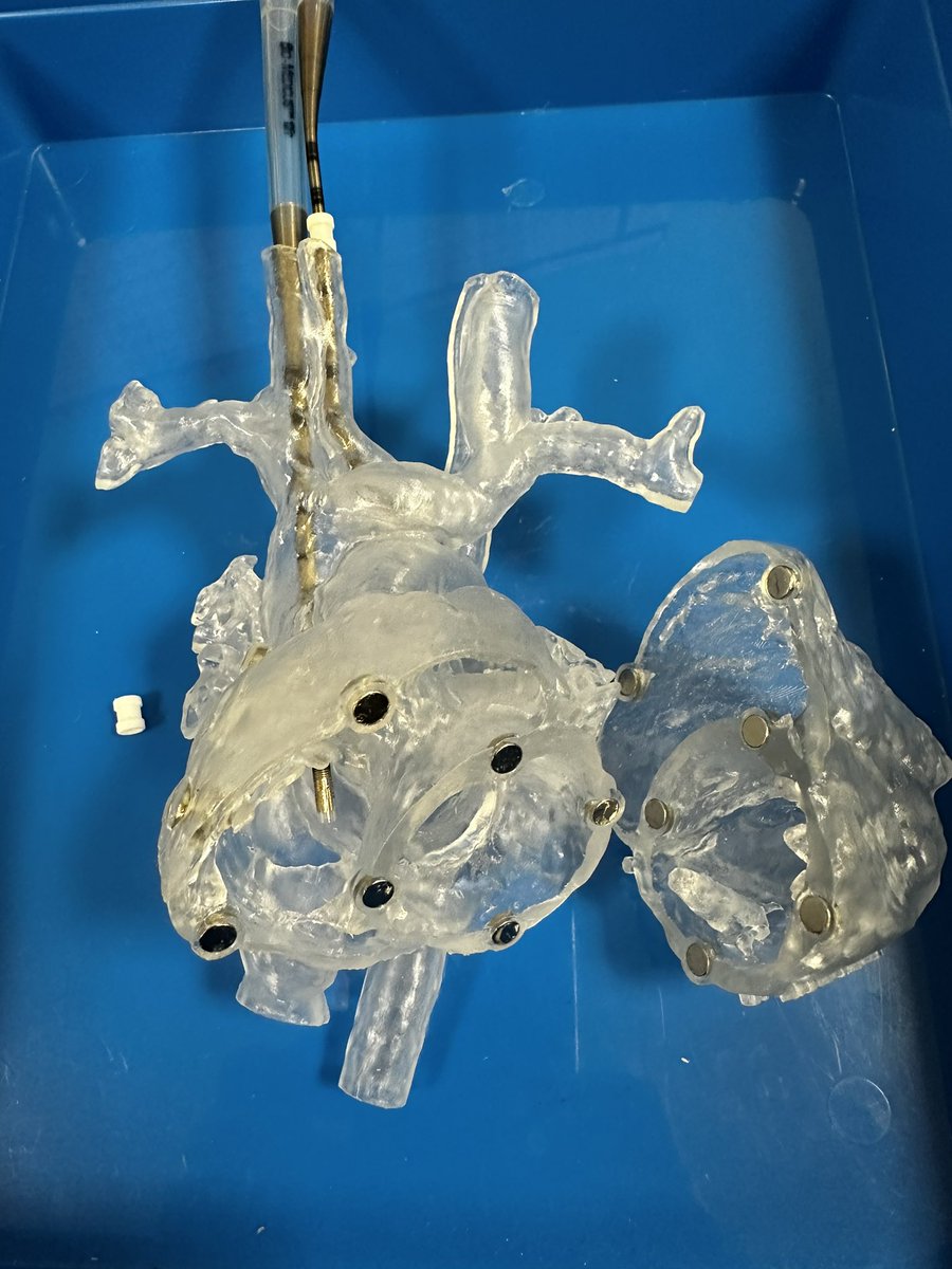 Come and join the team here in Glasvegas for cardiac, bronchoscopy, innovation, POCUS, simulation skills in picu - all as part of an amazing team in an amazing location