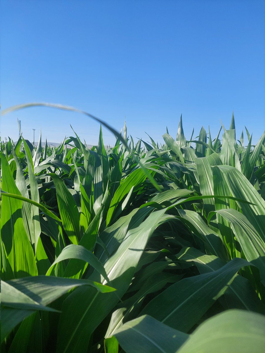 İbrahim Ülker tweet media