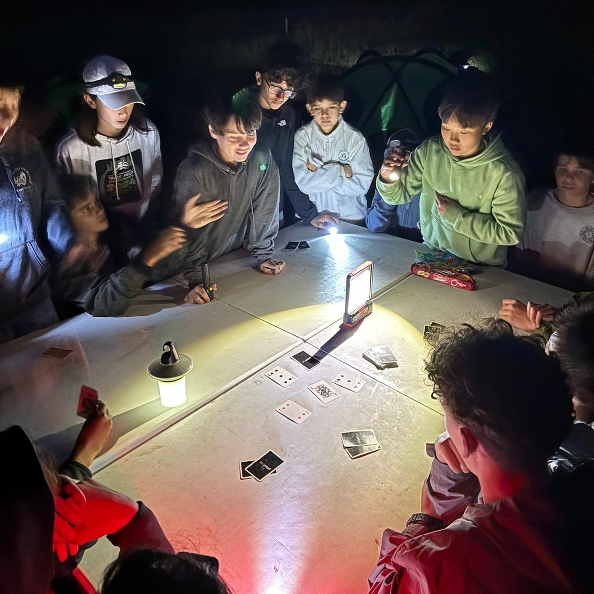 Milbourne Lodge Trips tweet media