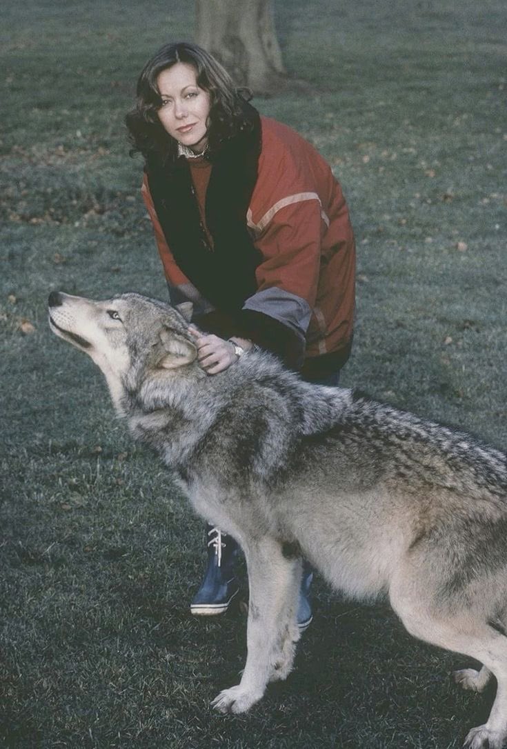NurseAlexPrice's tweet photo. I just absolutely adore dogs, don’t you?
🐺
#werewolfwednesday https://t.co/ZFdYSEsSEp