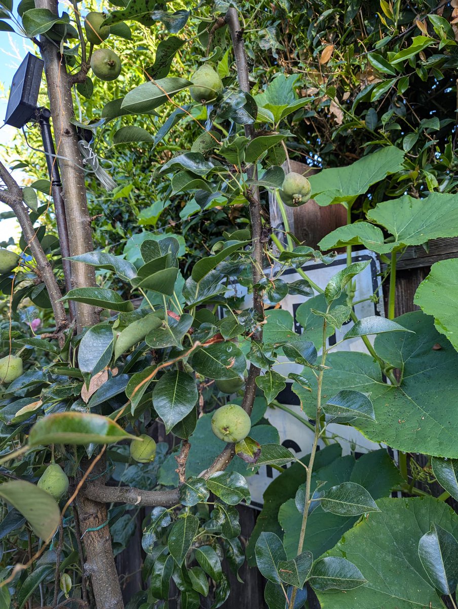 dripworksusa's tweet photo. A beautiful customer's garden, thriving with the help of our drip irrigation system. 🌺 
💧Grow More: https://t.co/q6b4jv8aq8

#SummerGardening #Garden #Gardening #Gardener #Landscaping #Landscape #DripIrrigation #Irrigation #DripWorks #WateringSystem #GardenInspiration https://t.co/rT3rb9dlMU