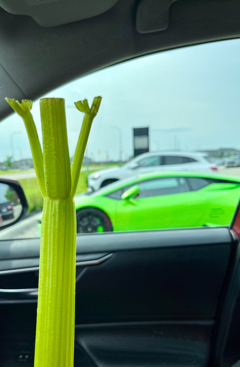 Umut Oğuzoğlu tweet media