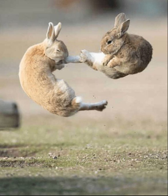 Alvis Pressly tweet media