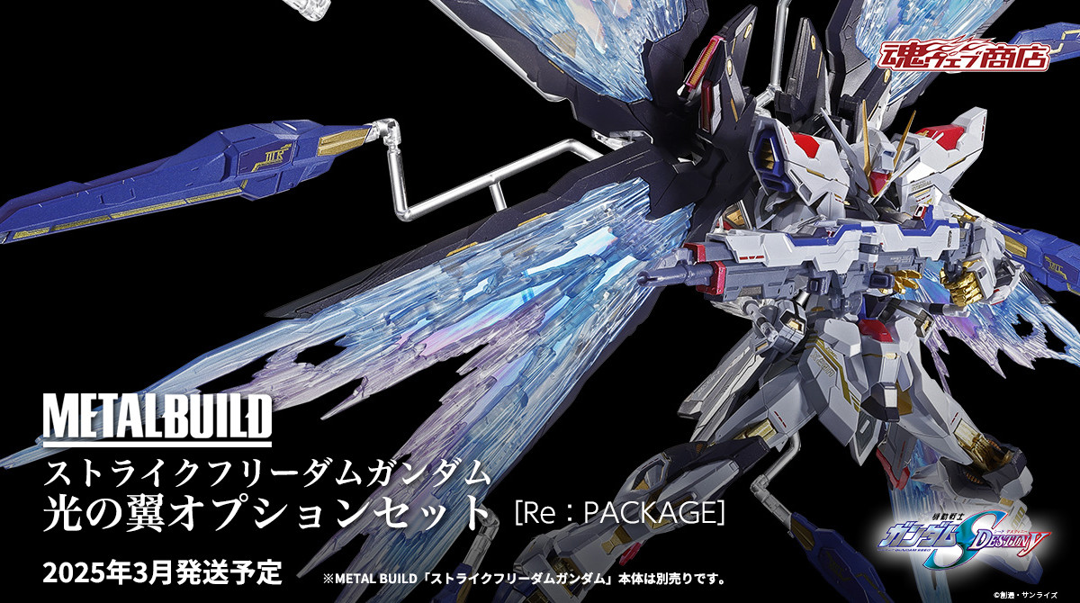 METAL BUILD ストライクフリーダムガンダム 光の翼オプションセット