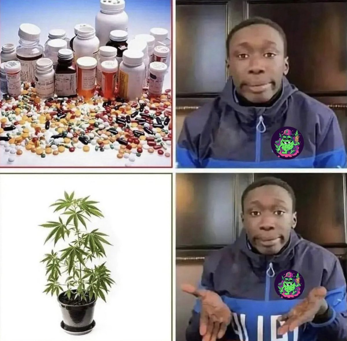 Cannabis Brasil (@canabisbrasil) on Twitter photo 