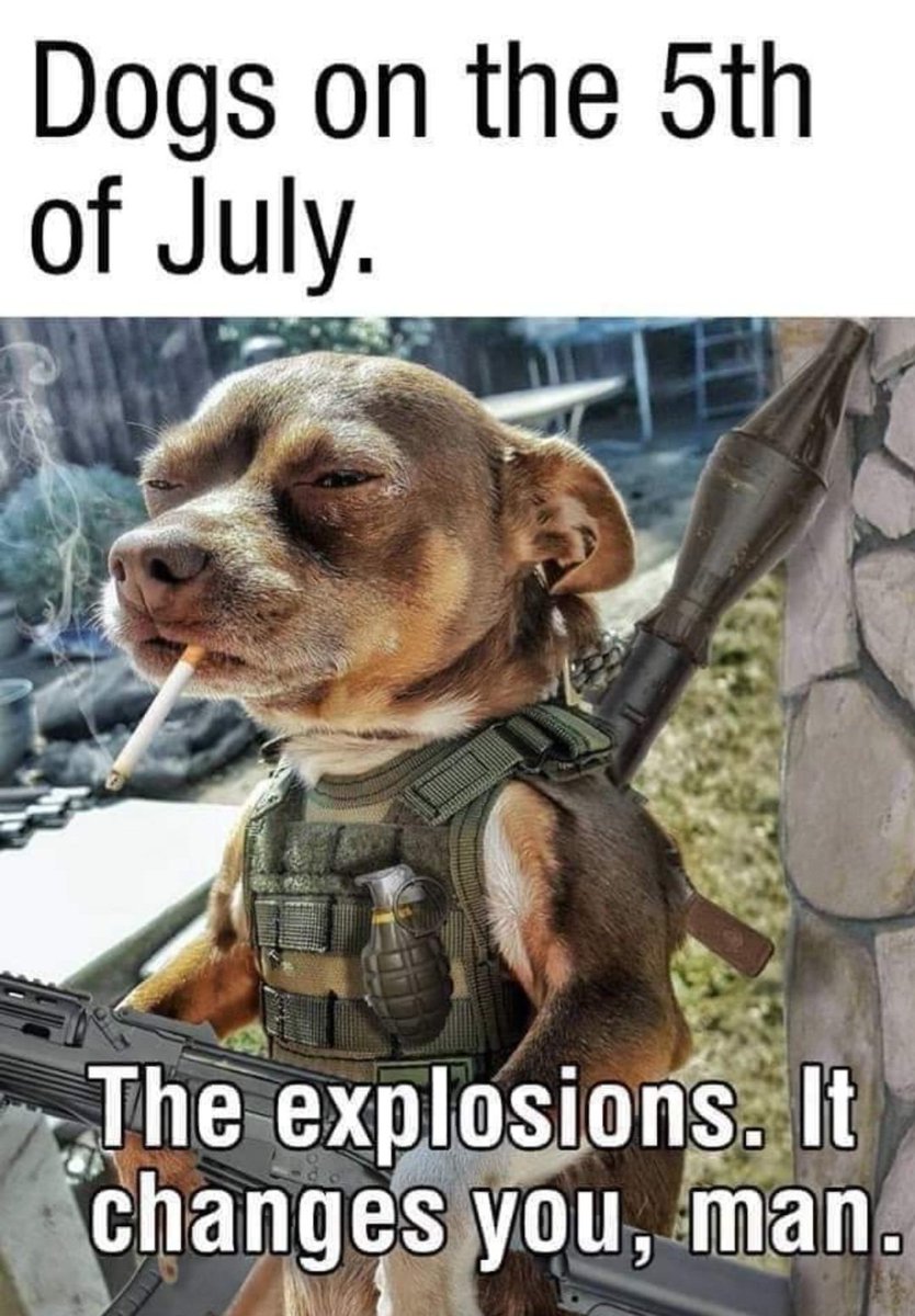 [Image: GRmJQAxWwAE3I4Q?format=jpg&name=medium]