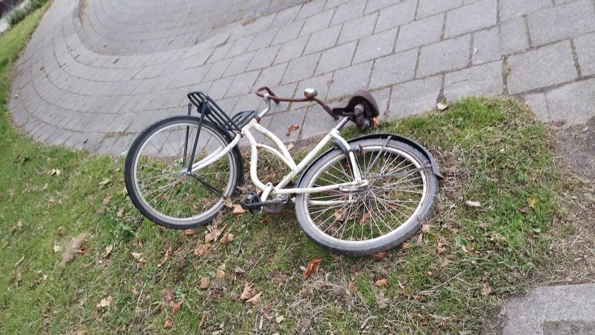 Een kat, wilde bloemen en een verlaten fiets