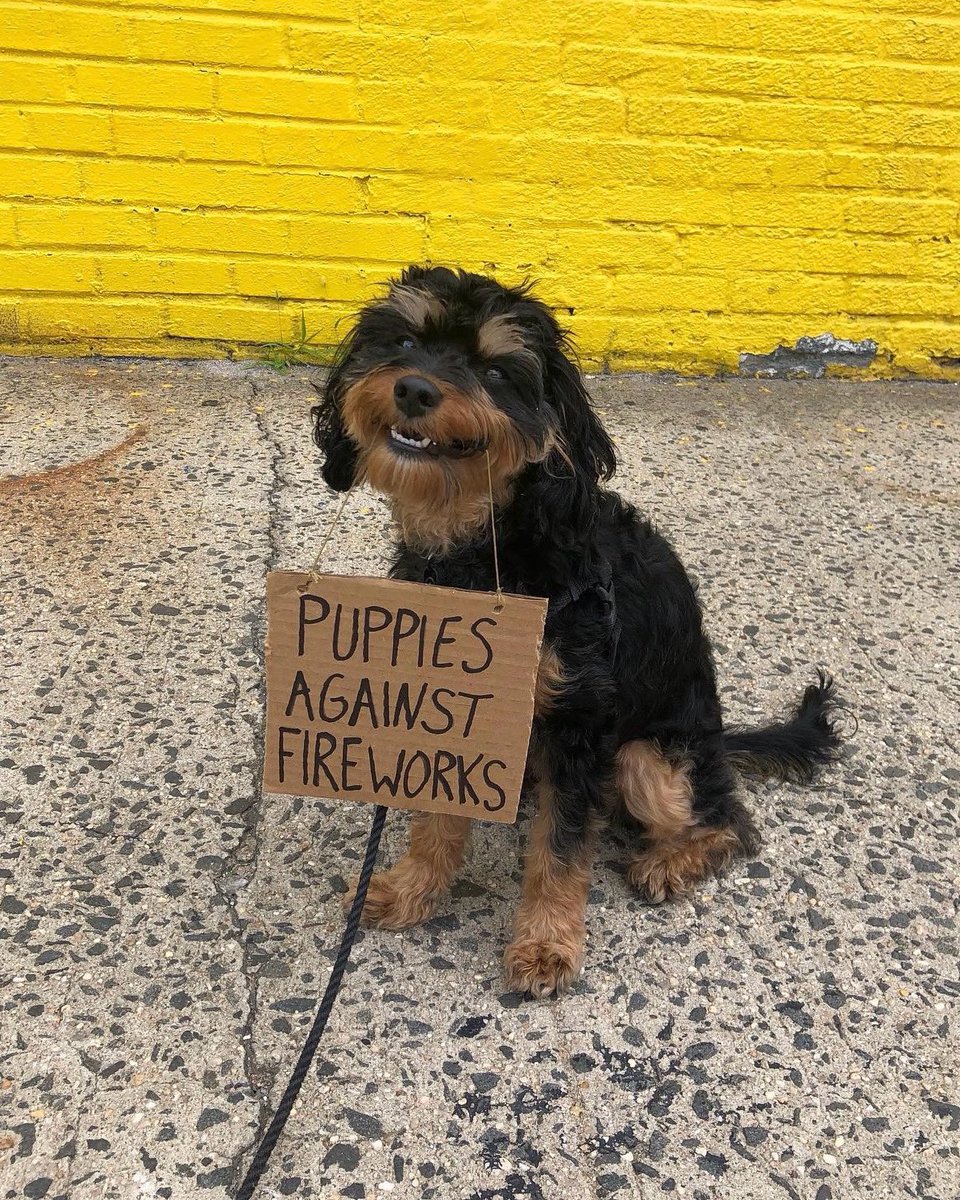 This is Baboy. He's fighting the good fight against Big Boom. Up next? Taking on the thunder lobby. 14/10