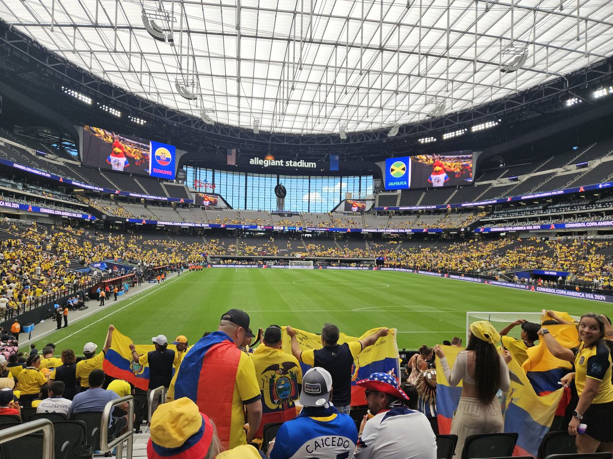 David A Nikolic tweet media