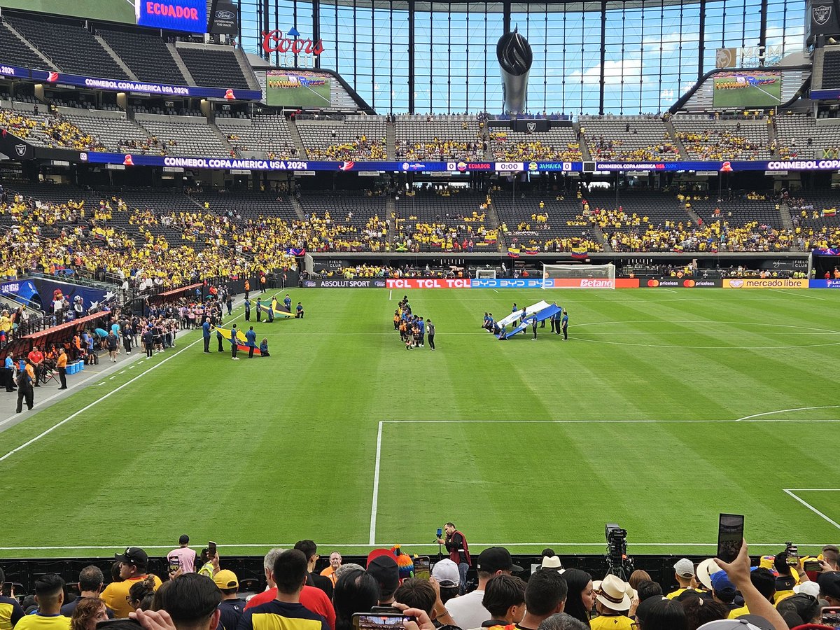 David A Nikolic tweet media