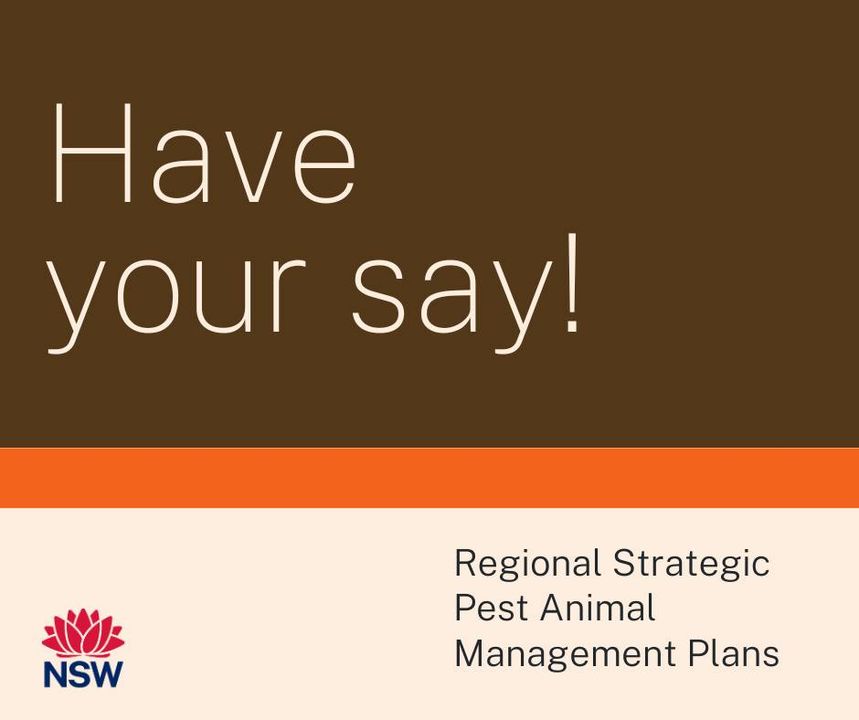 Mark your calendar! Public consultation on draft Regional Strategic Pest Animal Management Plans closes on Monday 8 July!  

Check out your draft regional plan. Complete a quick poll or lodge a written submission and let us know your feedback.  

haveyoursay.nsw.gov.au/pest-animal-ma…