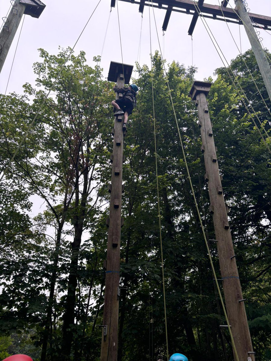 MBPSYear6 tweet media