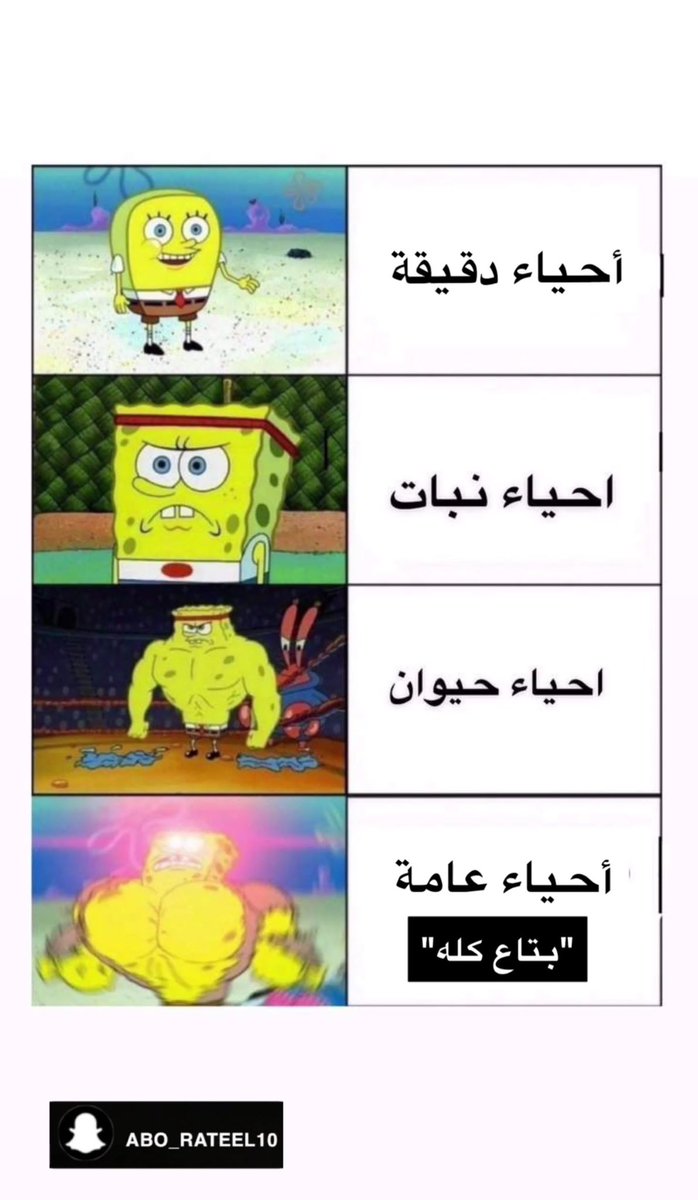 محمد بيرقدار | أبو رتيل (@moh_biraqdar) on Twitter photo 