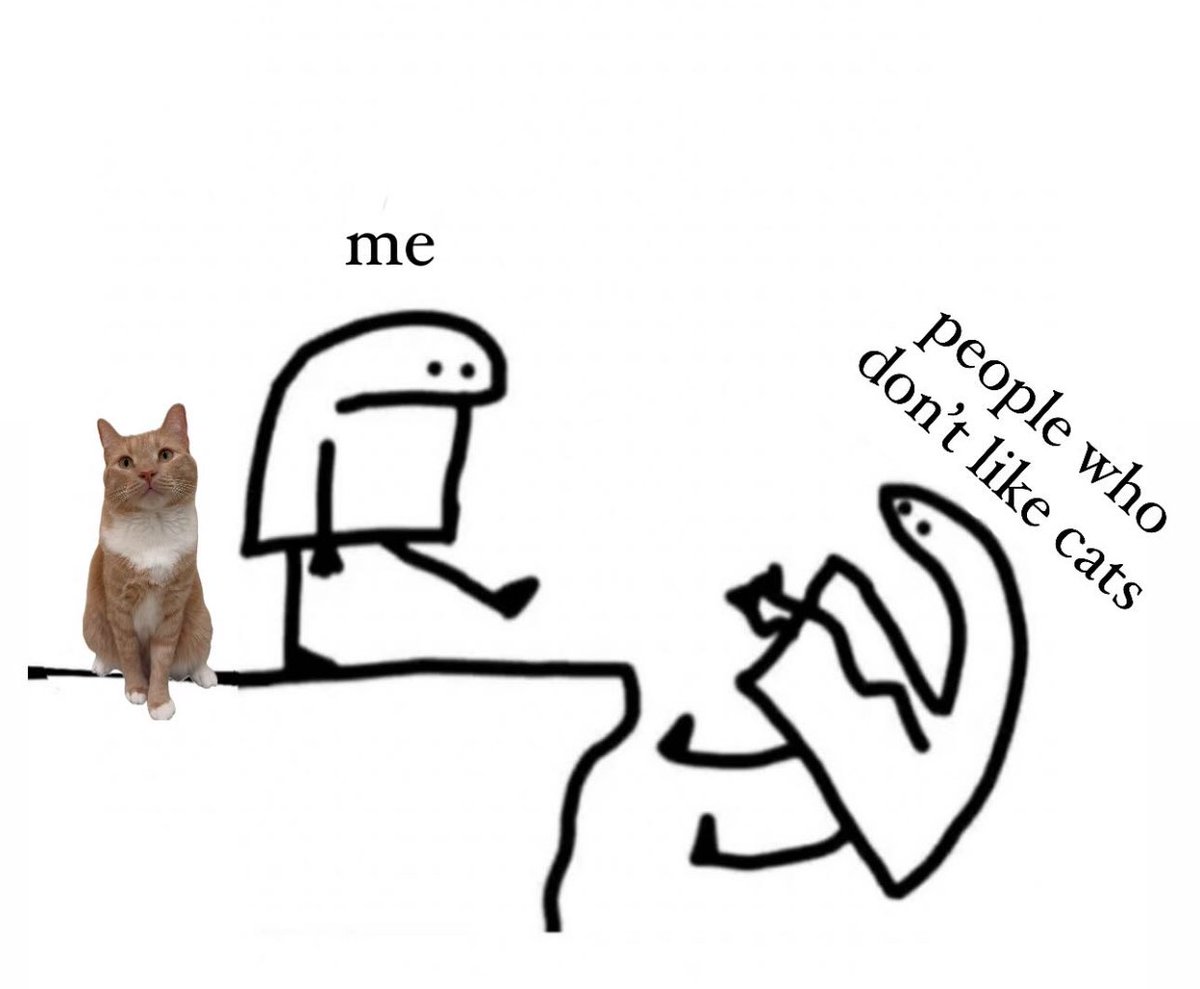 Layla. ليلى tweet media