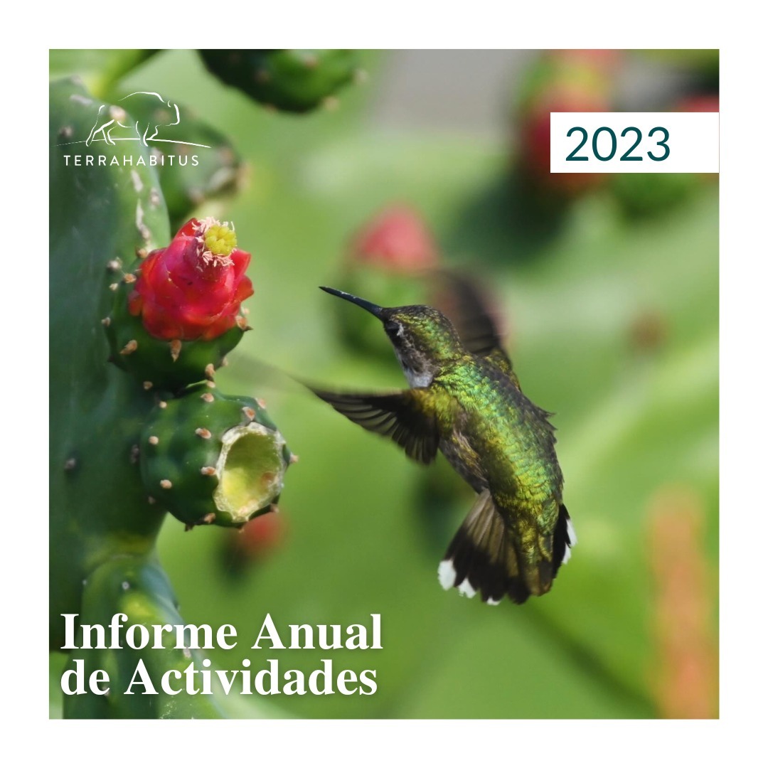 📢 ¡Nuestro Informe Anual 2023 ya está listo! 📊
Gracias por ser parte de este viaje🌱💚
👉🏼 Visita terrahabitus.org.mx/informeanual

#InformeAnual2023 #TerraHabitus #Conservacion #NoresteDeMexico #CiudadesSostenibles #ResilienciaHidrica #PaisajesRegenerativos #FinanzasParaLaConservacion