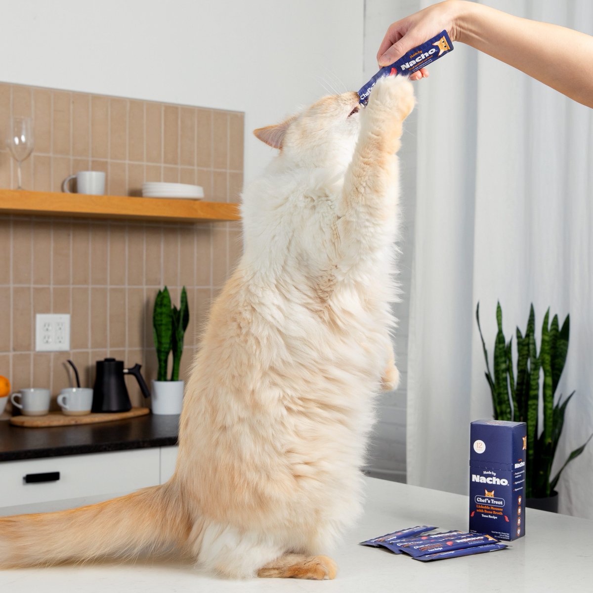 madebynachoflay's tweet photo. Hydration tip #3: Treat yo' self. Our Lickable Mousse is loaded with delicious whipped bone broth to keep your cat happy, hydrated, and running back for the very last lick. 😋

#MadeByNacho #NationalPetHydrationAwarenessMonth https://t.co/4WkZjZHyAK