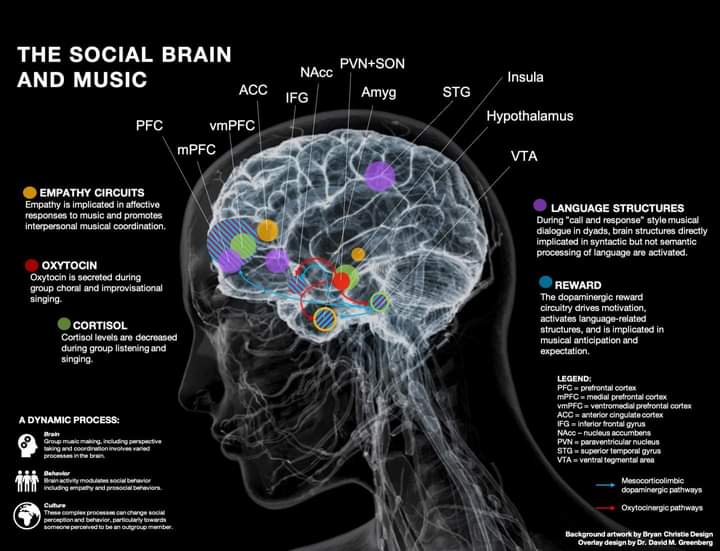 Música y cerebro social 👇👇👇👇👇