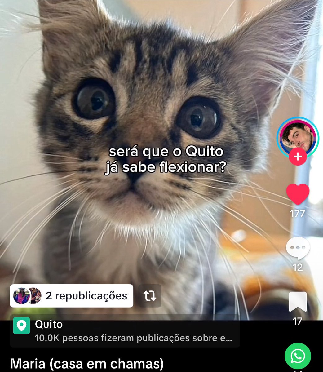 EU TO MORRENDO TANTO COM ISSO AQUI