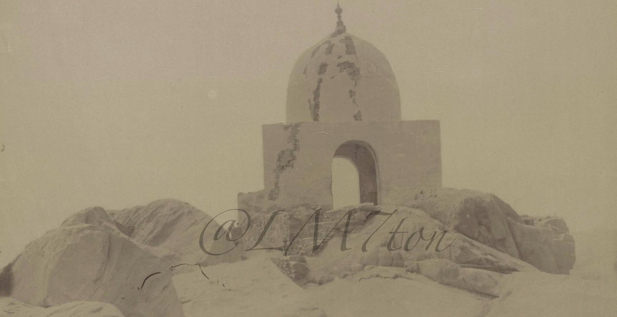 لمحة tweet media