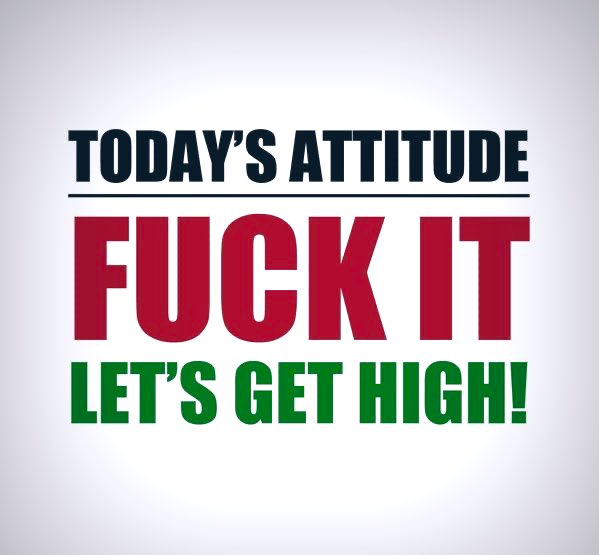 Alwayzavibe's tweet image. 