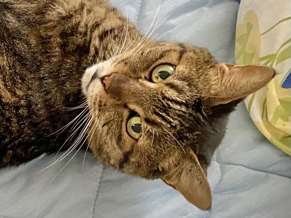 朝から暑いですね