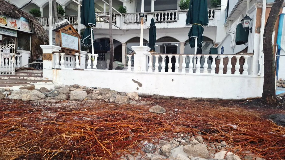 SIN24Horas's tweet image. Huracán Beryl afecta infraestructuras turísticas en Boca Chica.

#NoticiasSIN  #Efectos #Daños #Infraestructuras #BocaChica 

 noticiassin.com/huracan-beryl-…