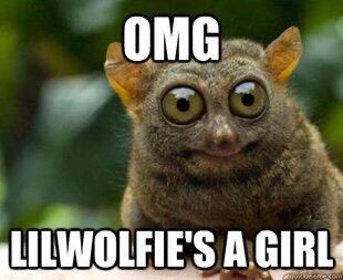 Lil Wolfie tweet media