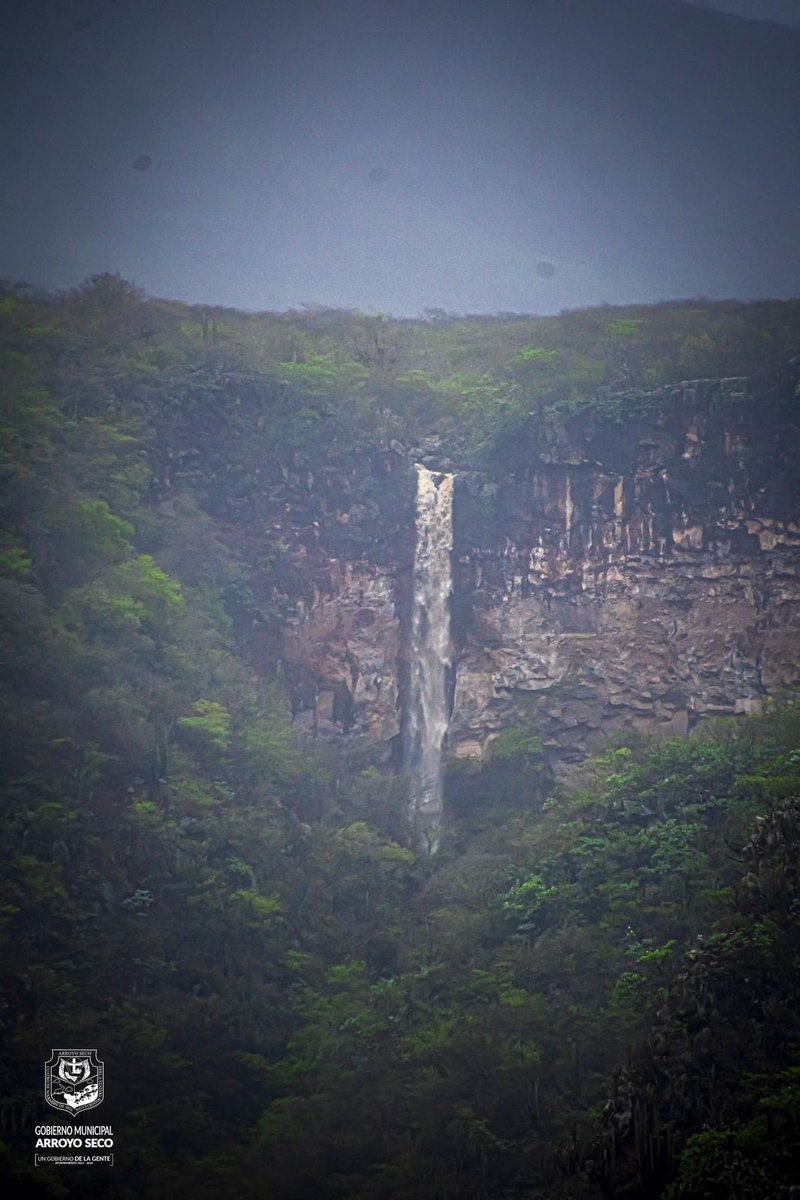 AlertaQro's tweet photo. 👀‼️ Tenía más de 20 años de no verse este fenómeno😱 debido a las recientes lluvias en el municipio de Arroyo Seco se volvió a ver la cascada en la llamada Cuesta de los Santos🏞️🌧️🌊

😍📸Este es un espectáculo que muy pocos han podido apreciar. https://t.co/CofC0LZmTH