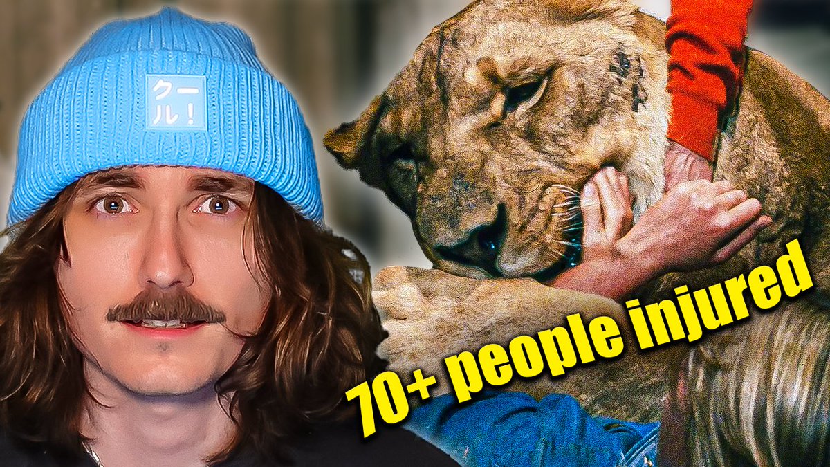 Toddy Quest tweet media