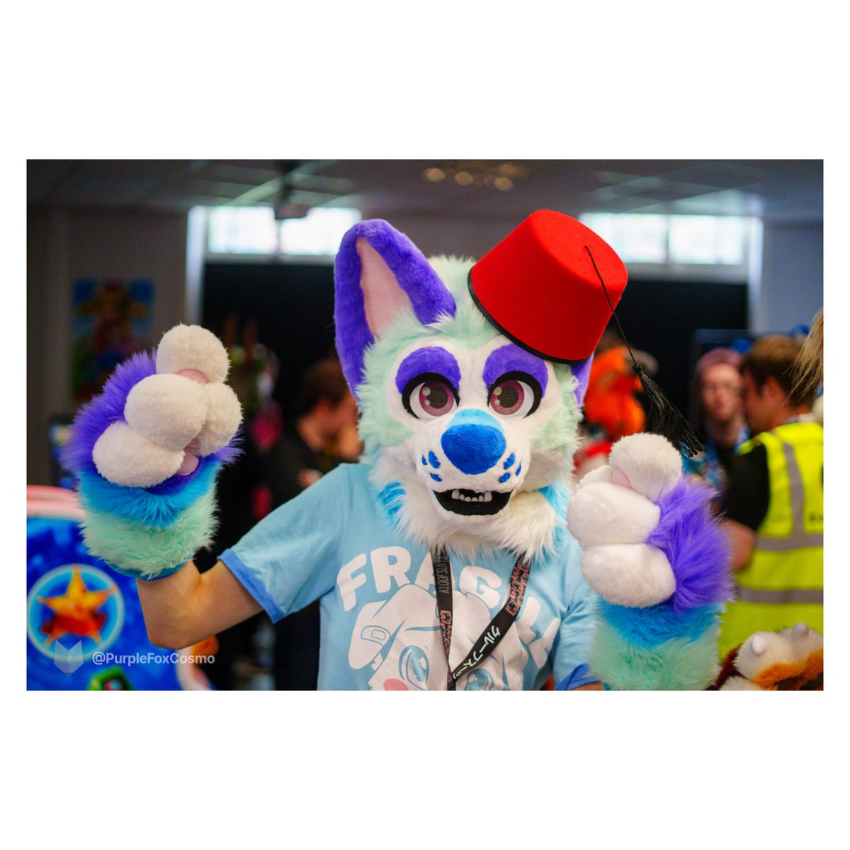 🦊Septer Folf / Sherbert🐺 @ANIMALZ (@Septer_Folf) / Posts / X