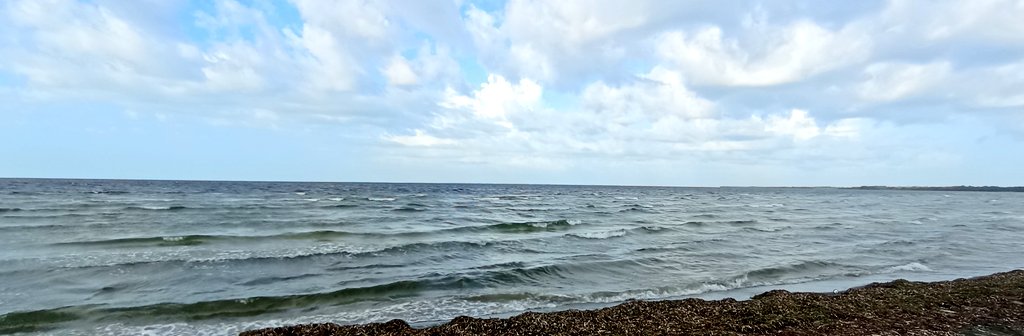 VictorV20545079's tweet photo. 🚨🌀ÚLTIMA HORA: En el municipio Especial #IslaDeLaJuventud ya se observa cambios climáticos por la cercanía del huracán 🌀"Beryl"☢️ .Se comienza a sentir el impacto de los vientos🌬️.
👉Las autoridades en conjunto con la Defensa Civil,mantienen el seguimiento y monitoreo🏝️#Pinero https://t.co/KqixqYN8rV