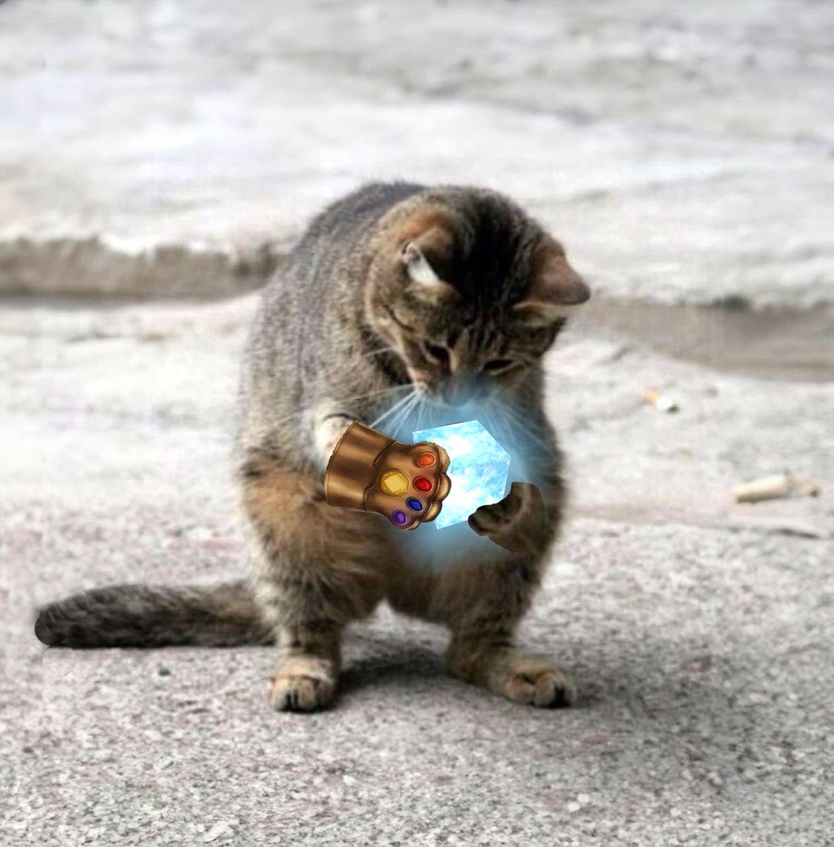 RubiksCatSol's tweet photo. $RUBIKS IS HERE TO STAY #RUBIKS 💎 https://t.co/3OmOjXs7dY