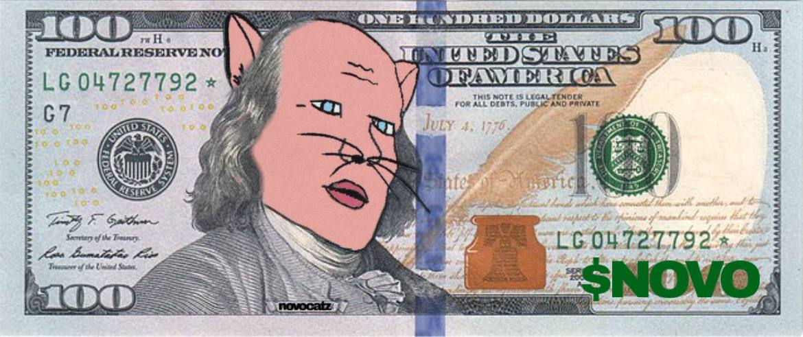 Miek Novocats tweet media