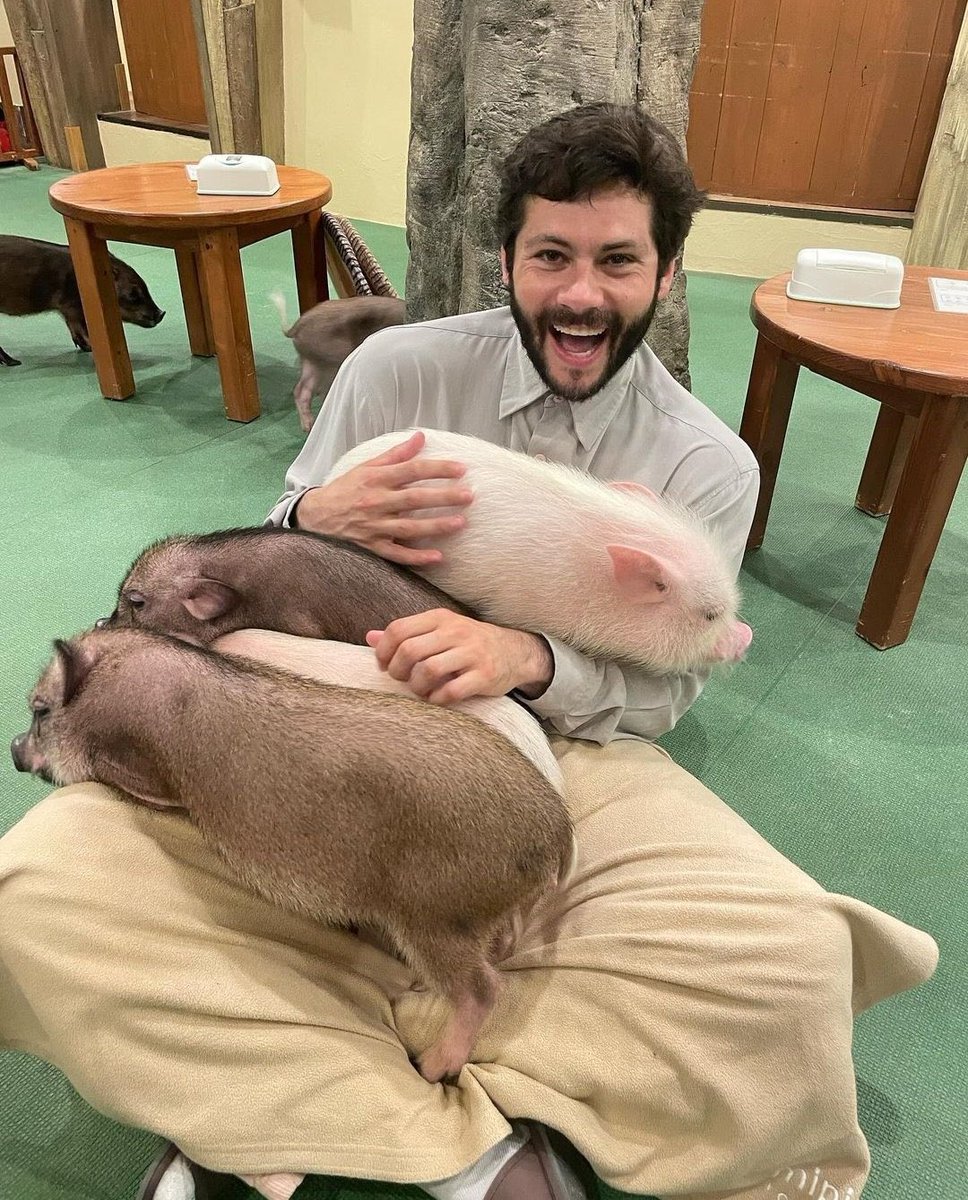 dobscockwhore's tweet photo. and we thought dylan o’brien with puppies was cute… 

JUST LOOK AT DYLAN O’BRIEN WITH PIGGIES!!! https://t.co/jOIuZmMUXp