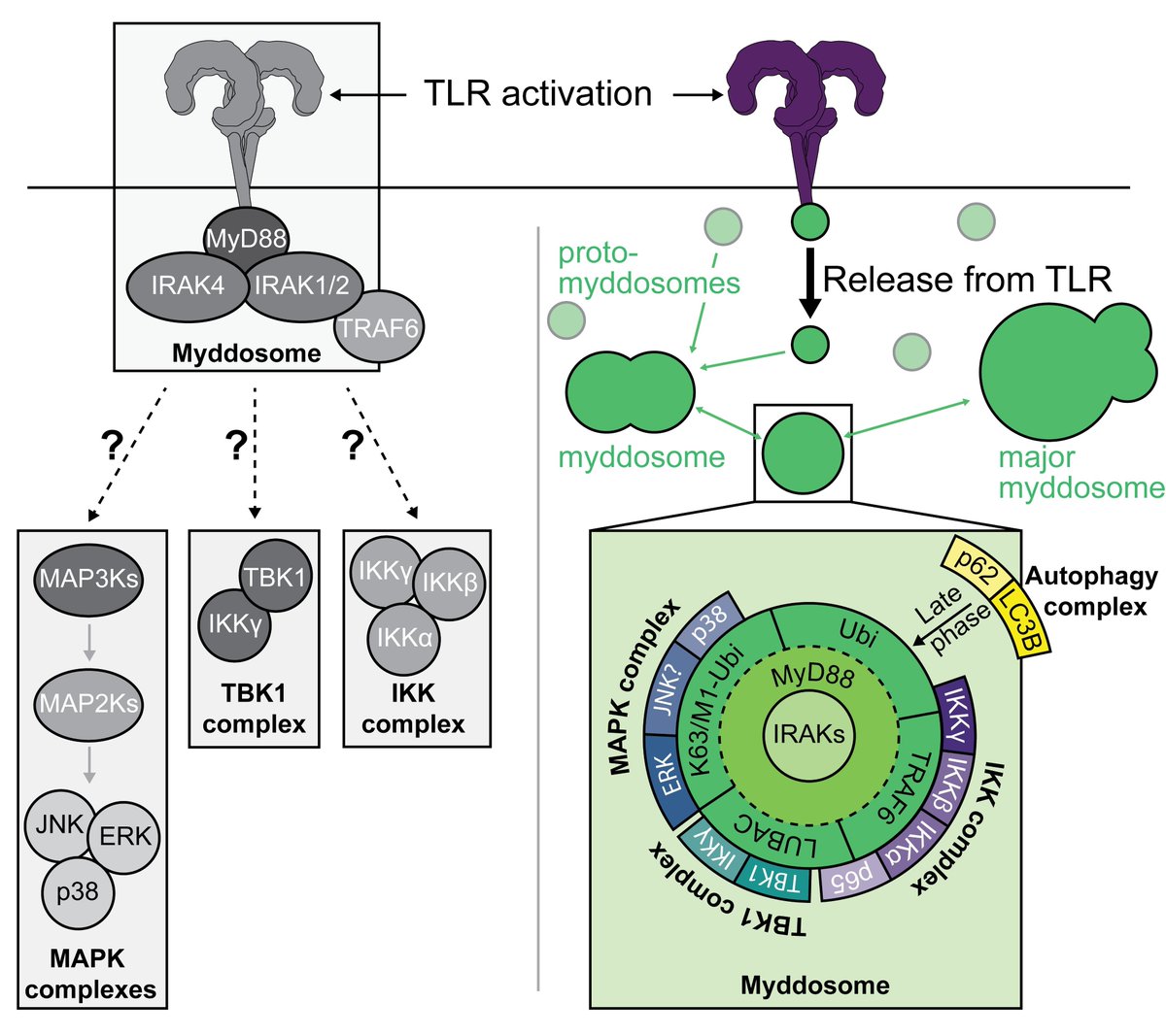 Vijay Rathinam tweet media