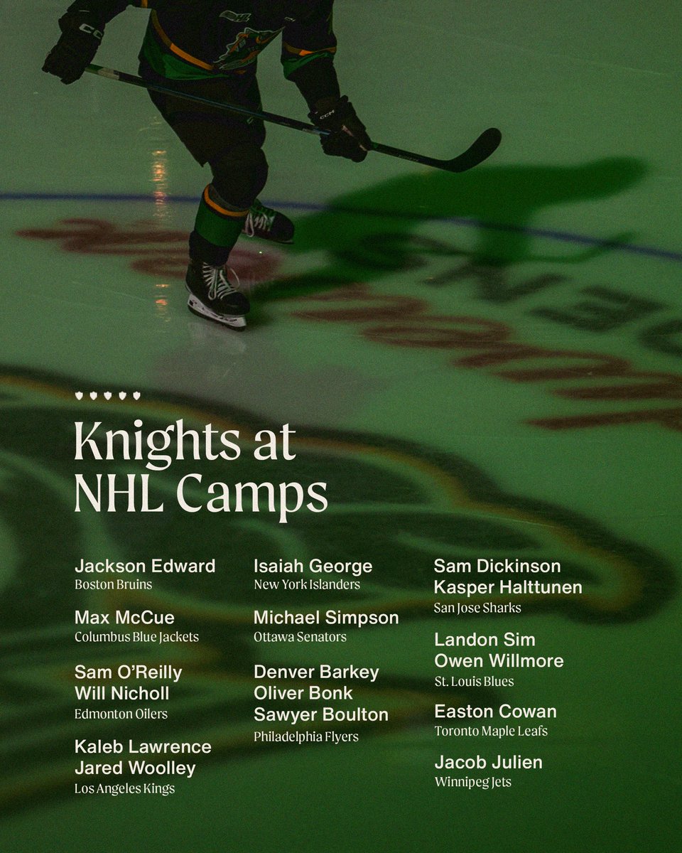 The NHL factory 🟢🟡