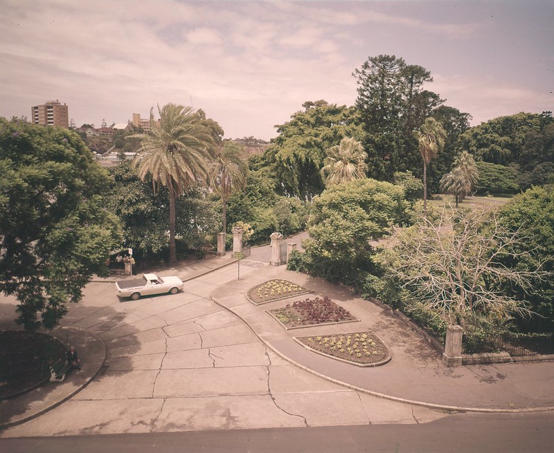 Queensland State Archives tweet media