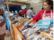 Iherreraa's tweet photo. #Sinfiltros_tv  
- Se han detectado centros de tortura de seres acuáticos sintientes en supermercados, ferias y puertos del país https://t.co/pjDxGOZNPt