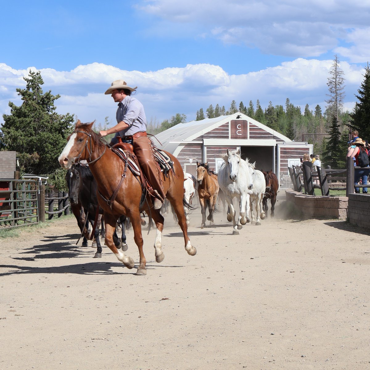 Straight out of the gate, you can feel the electricity of this jingle!

Photo Credit: @Katierodwell #ClazyU #CLazyURanch #duderanch #horses #horseranch #ranchlife #Rockies #RockyMountains #jingle #horsejingle