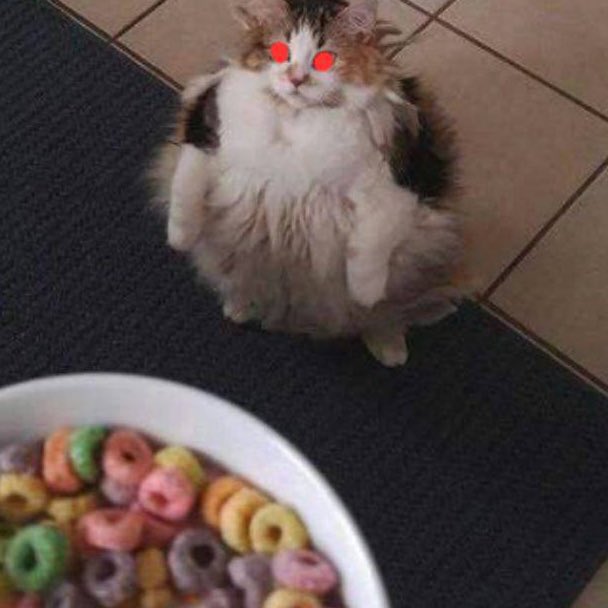 LÖÖPS tweet media