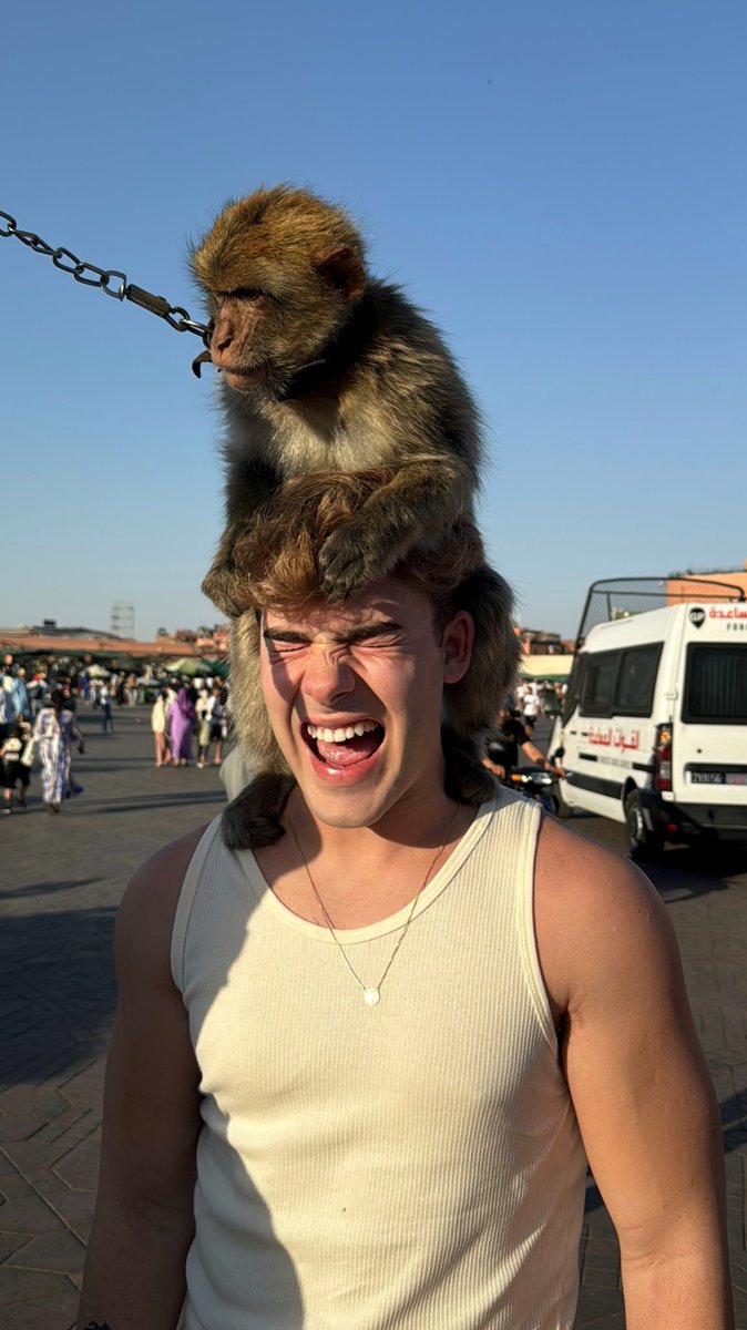 CaioCerqueira_'s tweet image. O macaco me atacou 🫢