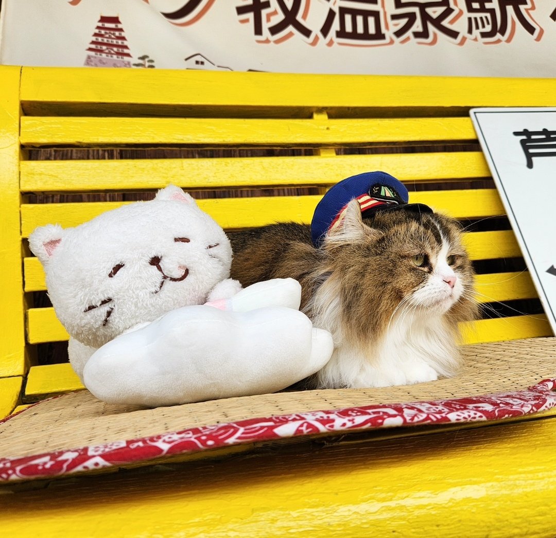 ashinomakionsen's tweet photo. おはようございます♪ 
さくら駅長さん、定時列車のお見送りを致しました♪ https://t.co/7FzW9Bt0uI