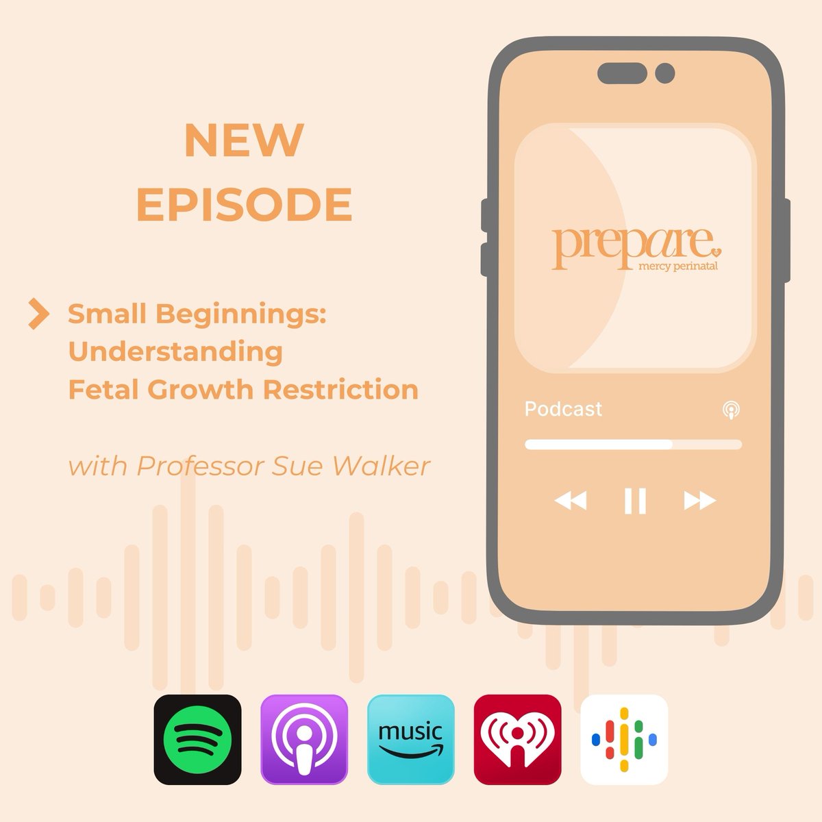 We have just released another episode of Prepare!!! "Small Beginnings: Understanding Fetal Growth Restriction"🎧
 
In this episode, Ali chats with Prof Sue Walker about Fetal Growth Restriction (FGR) and discusses key points, including... 
What is FGR? How is FGR detected? What