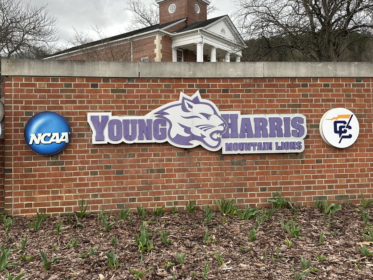 lilly_jones01's tweet photo. COMMITTED💜💜!!! @YHC_Softball @JessieHomesley @NPHSsoftball @ThackerGa https://t.co/hg0EhumfzW