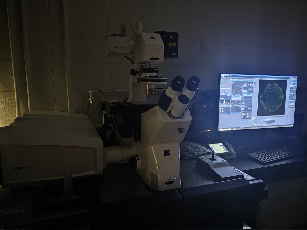In the dark of our newly equipped microscopy room, the beast is at work acquiring the first confocal video in the lab!